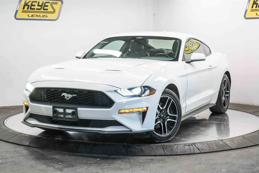 2023 Ford Mustang EcoBoost Premium photo 1