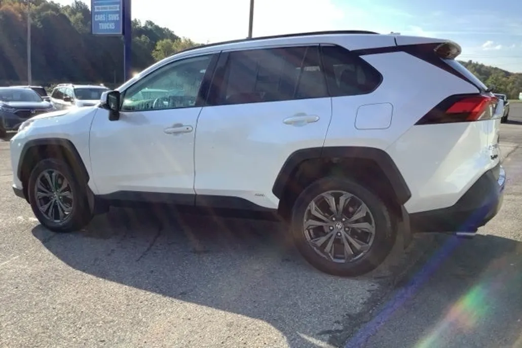 2024 Toyota RAV4 Hybrid XLE Premium photo 1