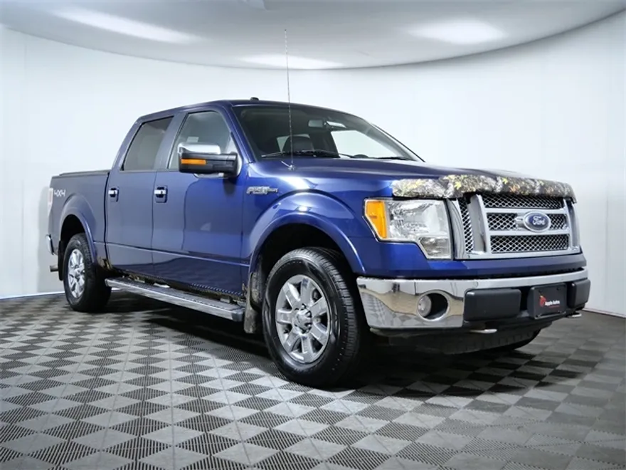 2010 Ford F-150 Base photo 1