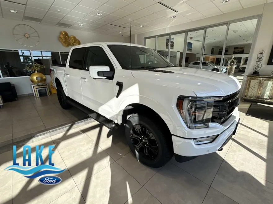 2022 Ford F-150 Platinum photo 1