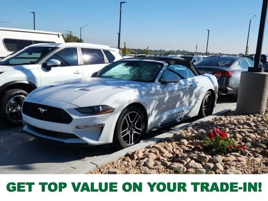 2022 Ford Mustang EcoBoost Premium photo 1
