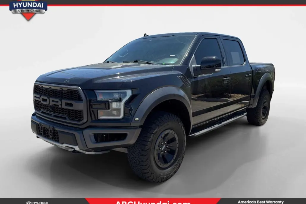 2019 Ford F-150 Raptor photo 1
