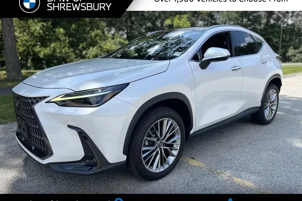 2022 Lexus NX 350 Luxury photo 1