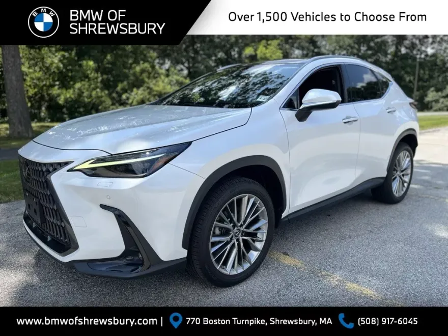 2022 Lexus NX 350 Luxury photo 1