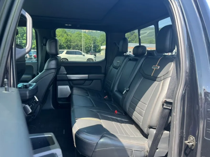 2021 Ford F-150 Platinum photo 16