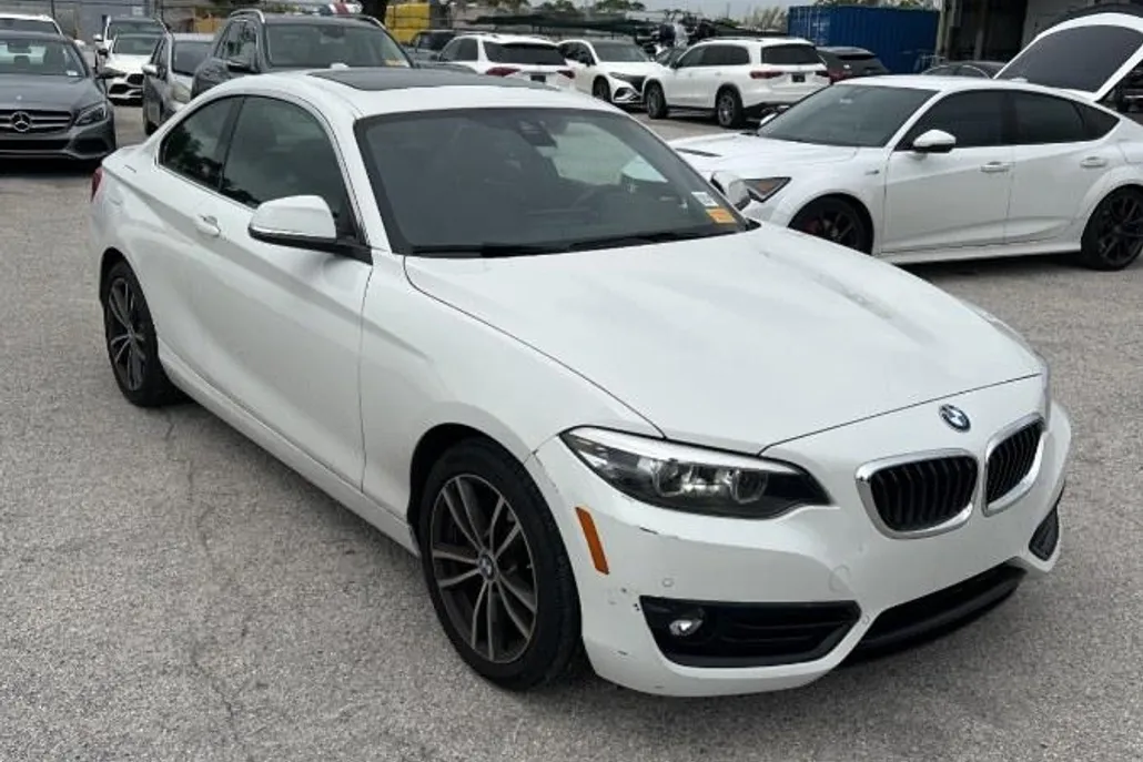 2019 Bmw 230i Coupe photo 1