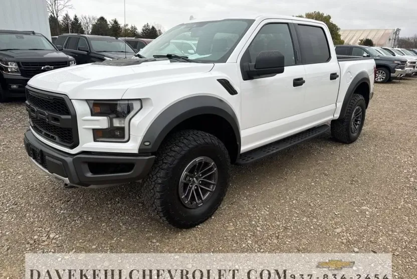2019 Ford F-150 Raptor photo 1