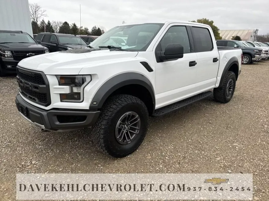 2019 Ford F-150 Raptor photo 1