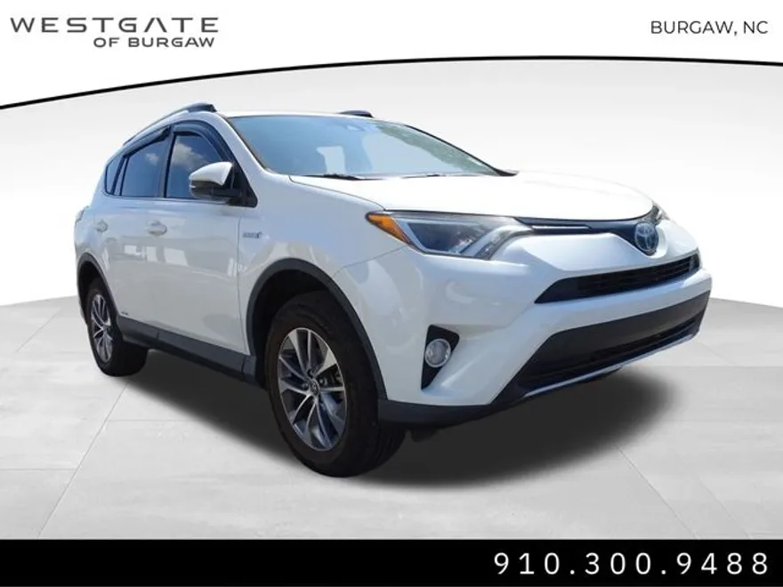 2018 Toyota RAV4 Hybrid LE photo 1