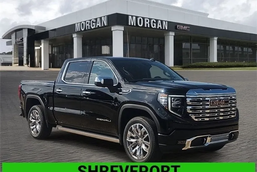 2025 Gmc Sierra 1500 Denali photo 1