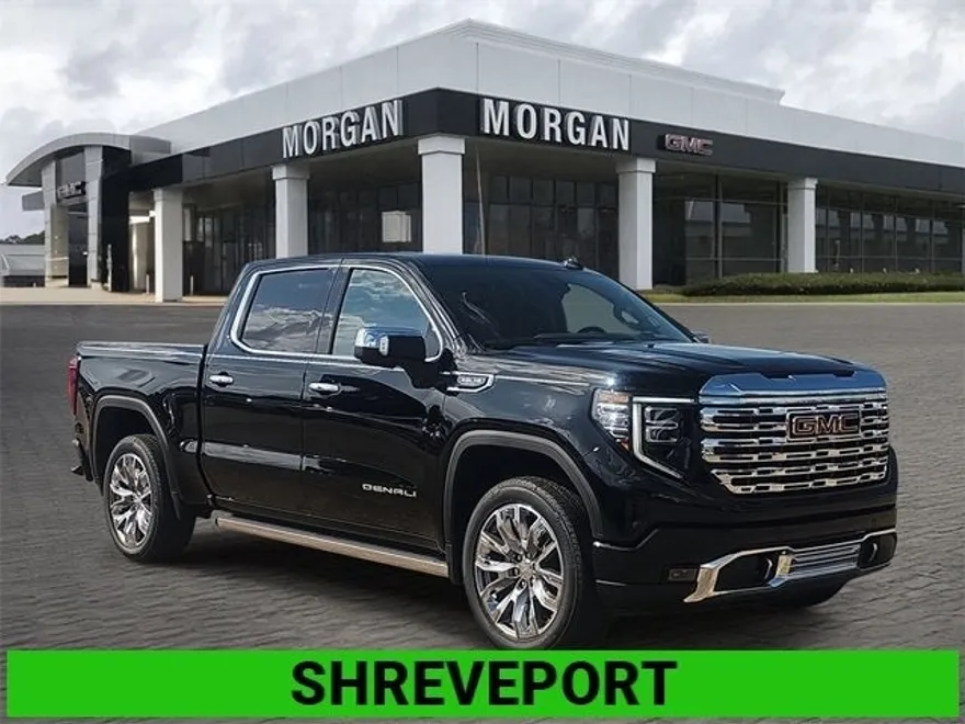 2025 Gmc Sierra 1500 Denali photo 1