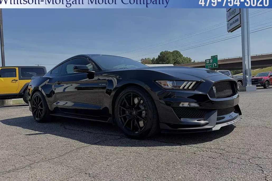 2017 Ford Mustang Shelby GT350 photo 1