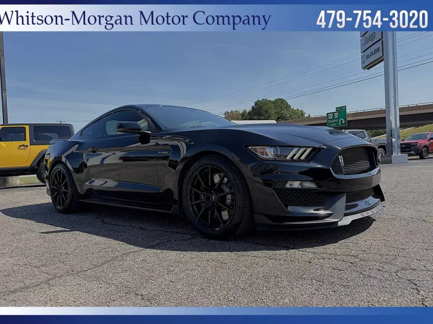 2017 Ford Mustang Shelby GT350 photo 1