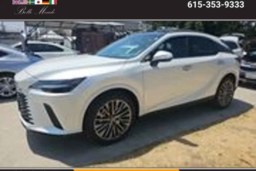 2025 Lexus RX AWD photo 1