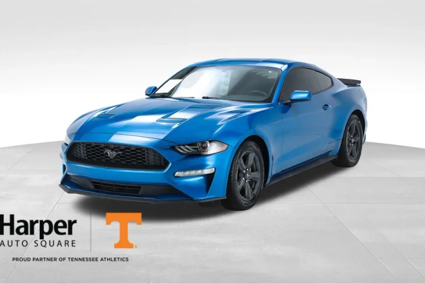 2019 Ford Mustang EcoBoost photo 1