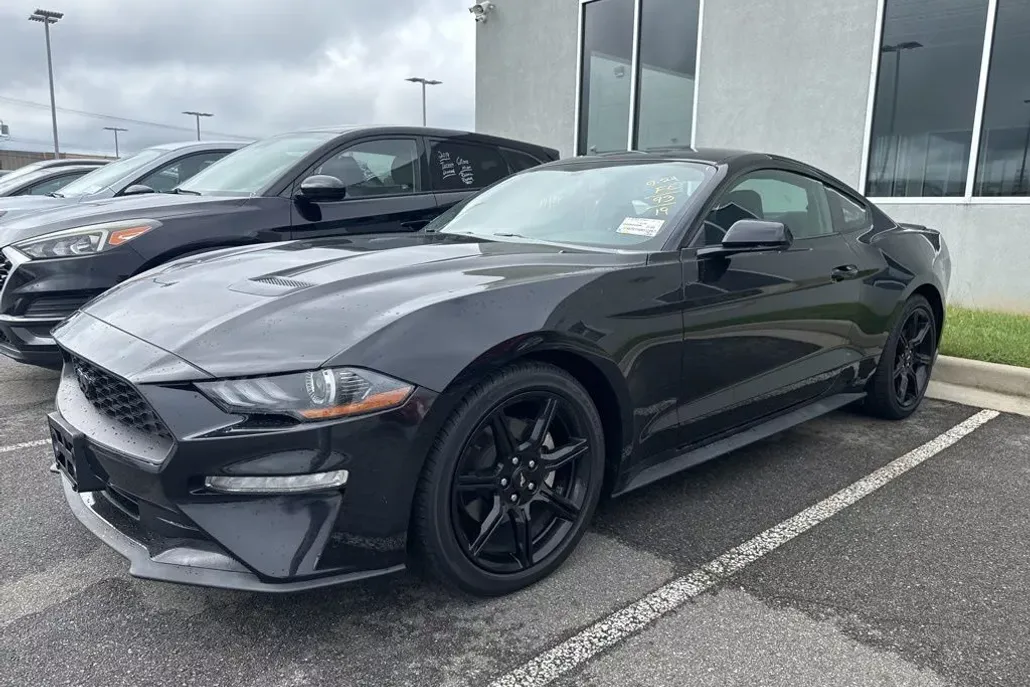 2019 Ford Mustang EcoBoost photo 1