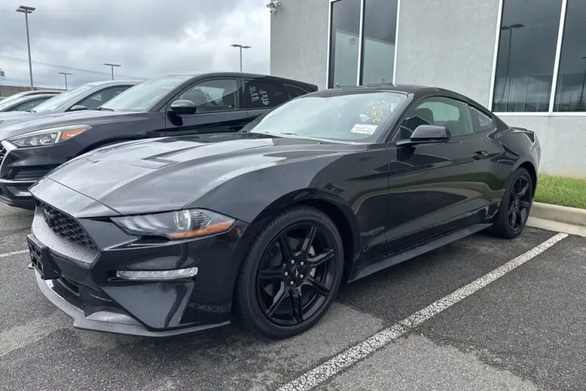 2019 Ford Mustang EcoBoost photo 1