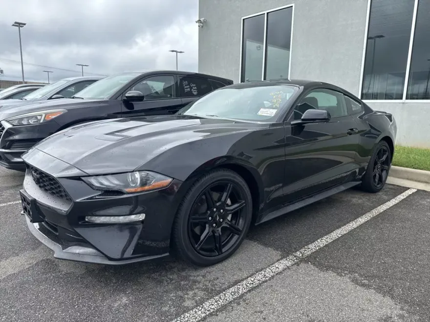 2019 Ford Mustang EcoBoost photo 1