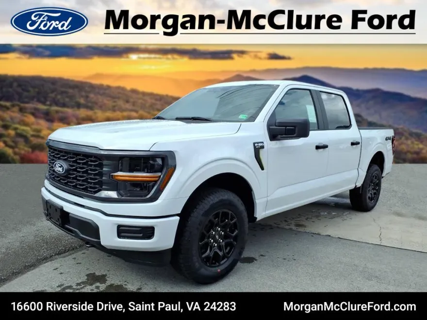 2025 Ford F-150 STX photo 1