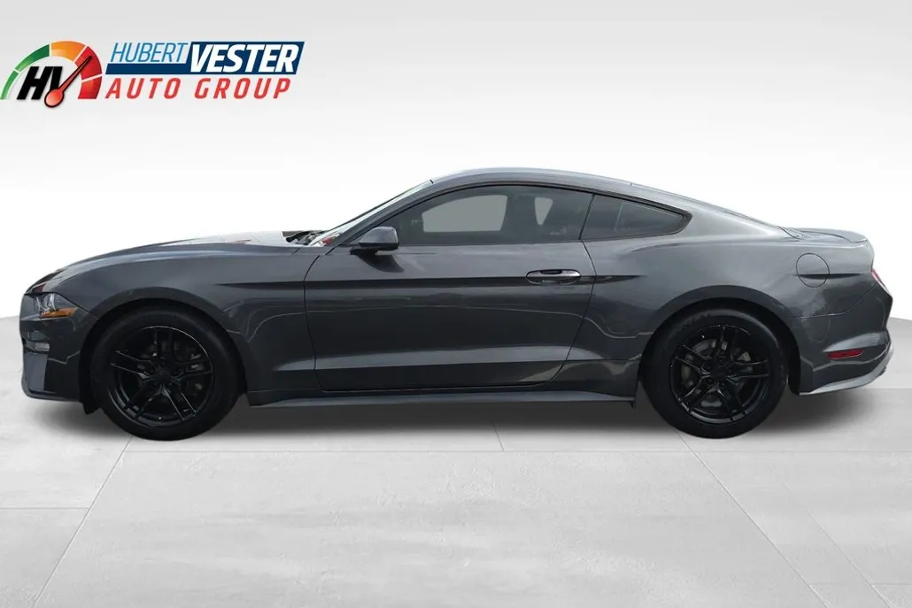 2019 Ford Mustang EcoBoost photo 1