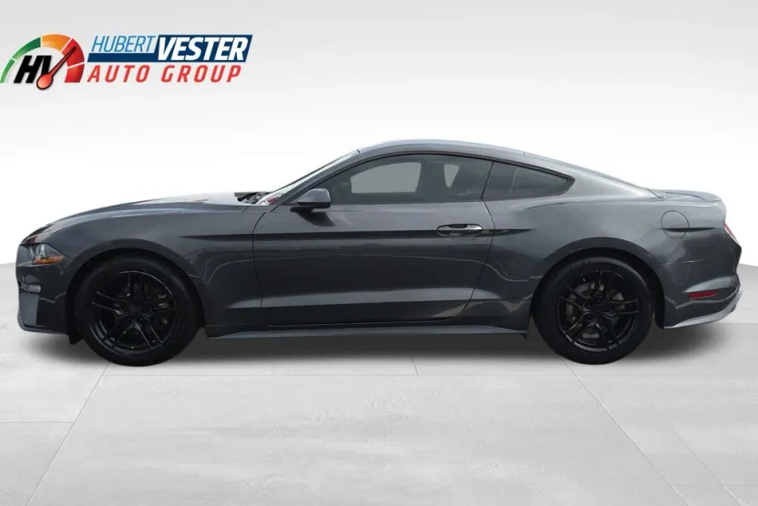 2019 Ford Mustang EcoBoost photo 1