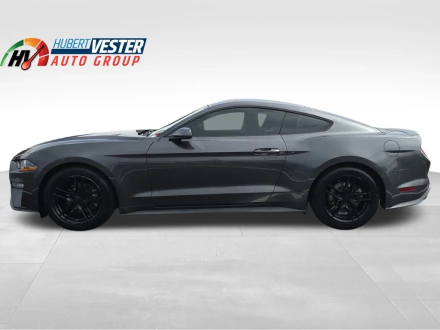 2019 Ford Mustang EcoBoost photo 1