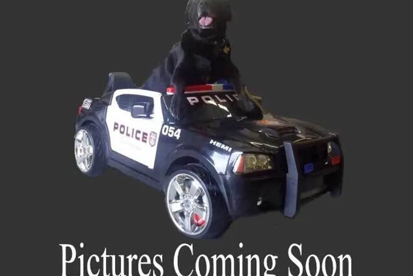 2011 Ford Ranger XL photo 1