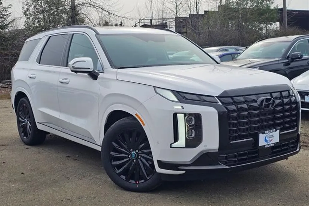 2025 Hyundai Palisade Calligraphy photo 1