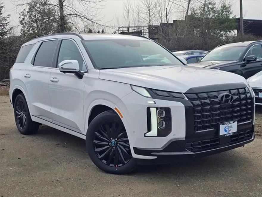 2025 Hyundai Palisade Calligraphy photo 1
