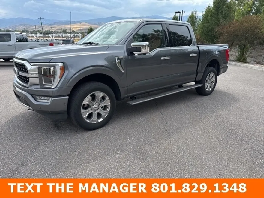 2023 Ford F-150 Platinum photo 1