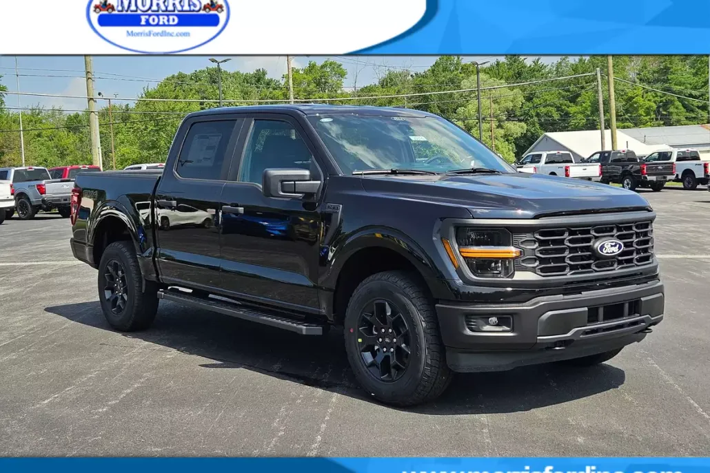 2025 Ford F-150 STX photo 1