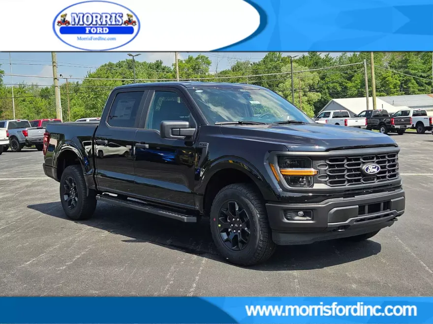 2025 Ford F-150 STX photo 1