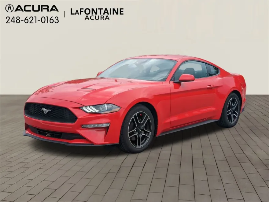 2023 Ford Mustang EcoBoost Premium photo 1