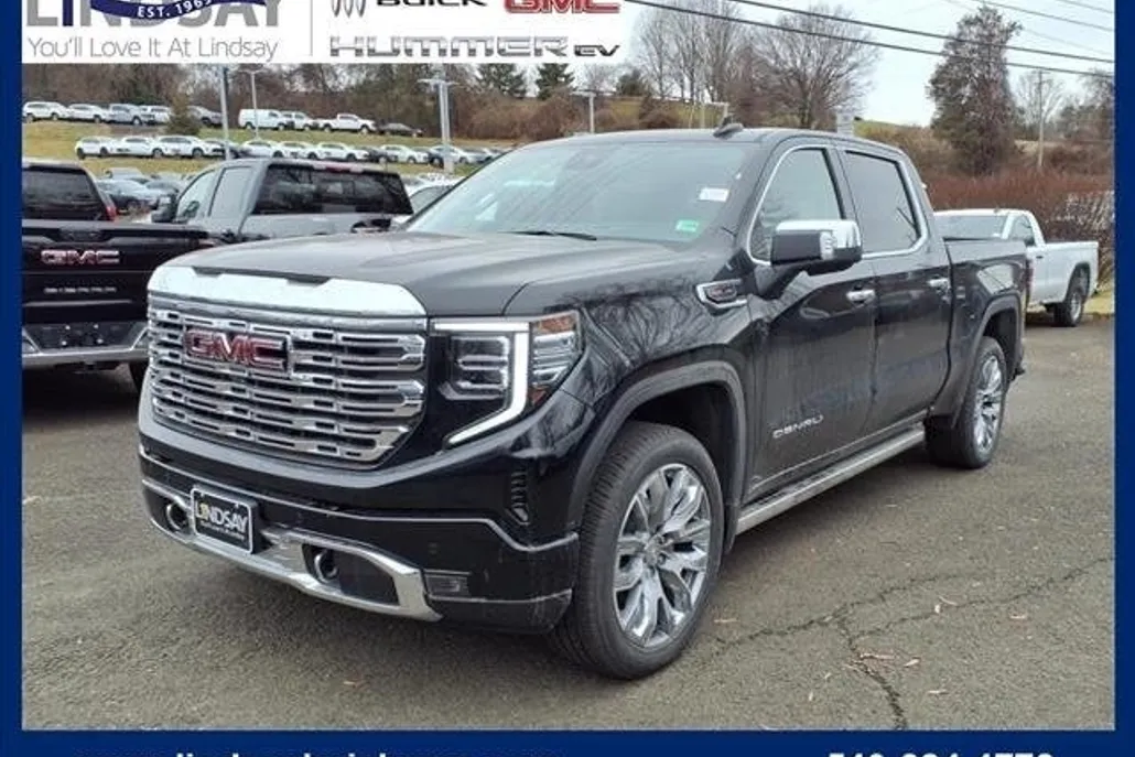 2025 Gmc Sierra 1500 Denali photo 1