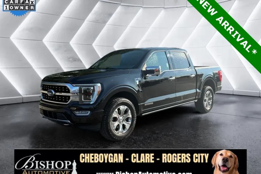 2021 Ford F-150 Platinum photo 1