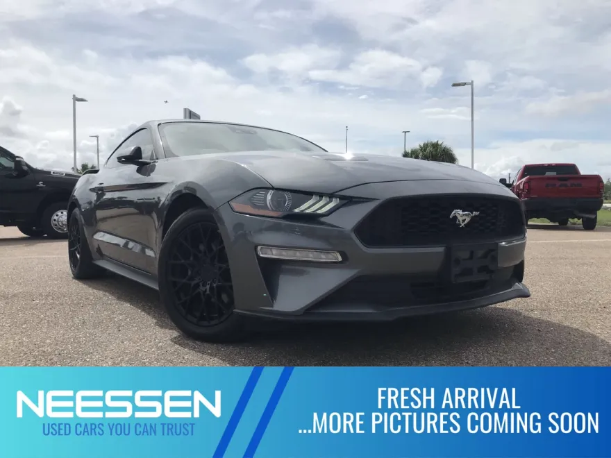 2023 Ford Mustang EcoBoost photo 1