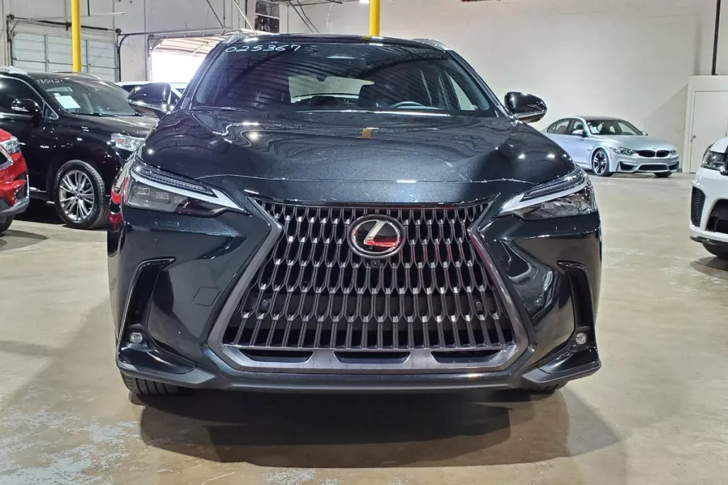 2024 Lexus NX 350h Luxury photo 1