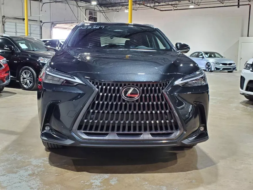 2024 Lexus NX 350h Luxury photo 1