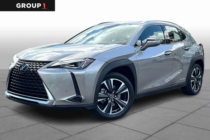 2021 Lexus UX 250h photo 1