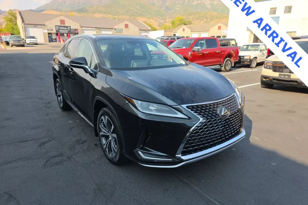 2020 Lexus RX 350 Premium photo 1