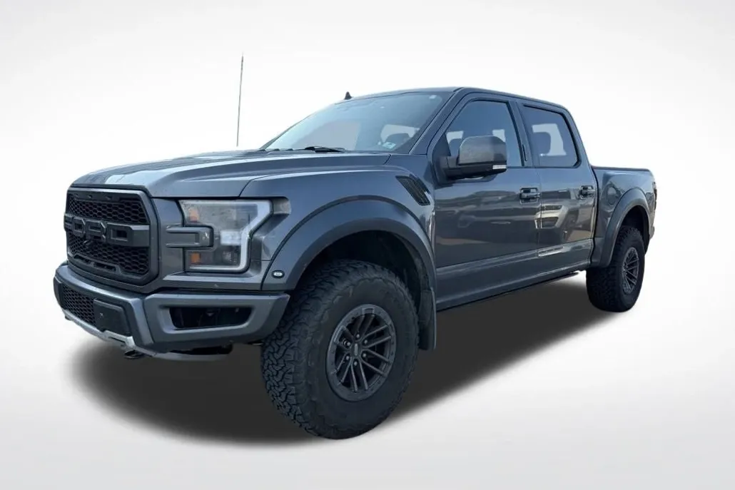 2019 Ford F-150 Raptor photo 1