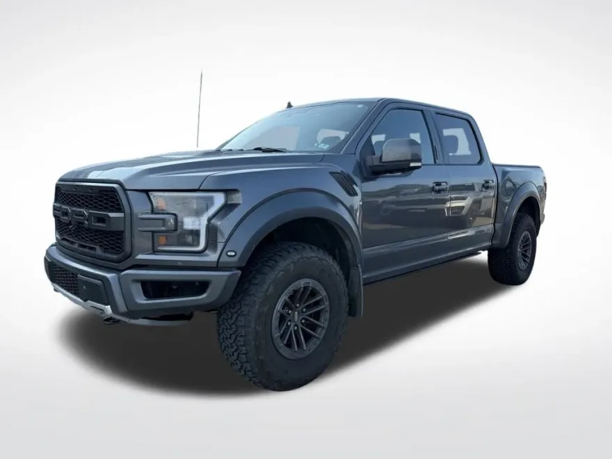 2019 Ford F-150 Raptor photo 1