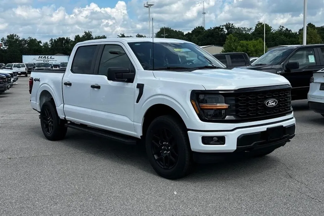 2025 Ford F-150 STX photo 1