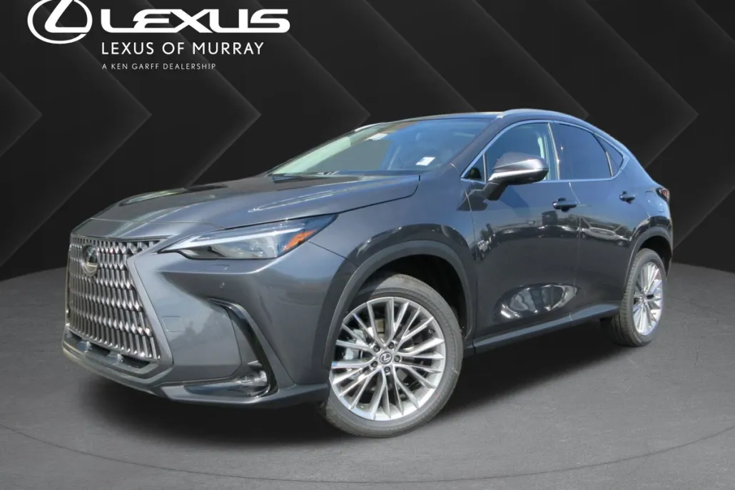 2025 Lexus NX 350 Luxury photo 1