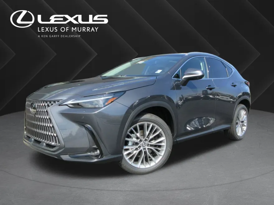 2025 Lexus NX 350 Luxury photo 1