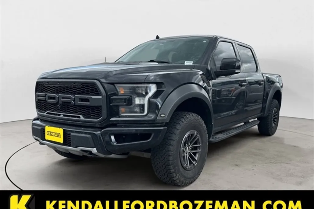 2019 Ford F-150 Raptor photo 1