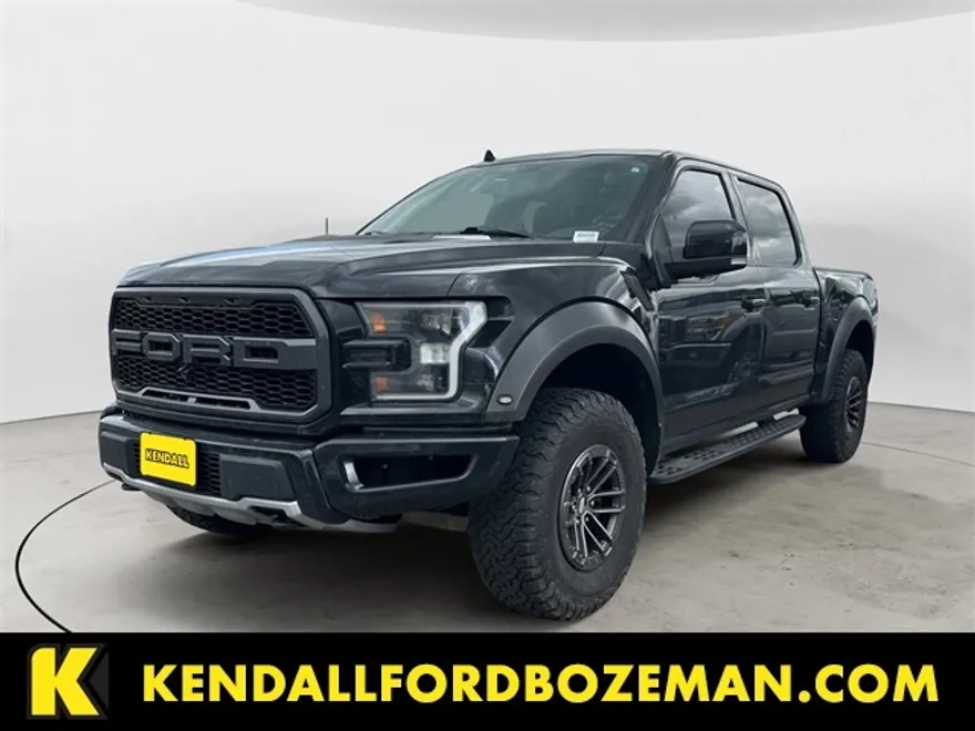 2019 Ford F-150 Raptor photo 1