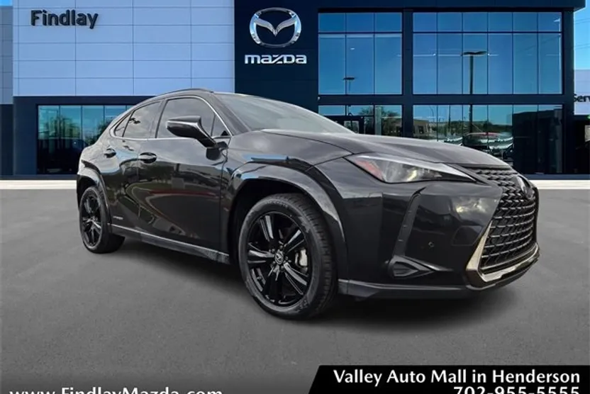 2021 Lexus UX 250h photo 1