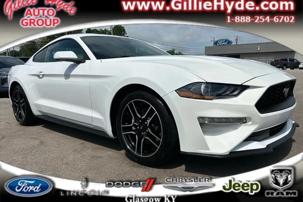 2023 Ford Mustang EcoBoost Premium photo 1