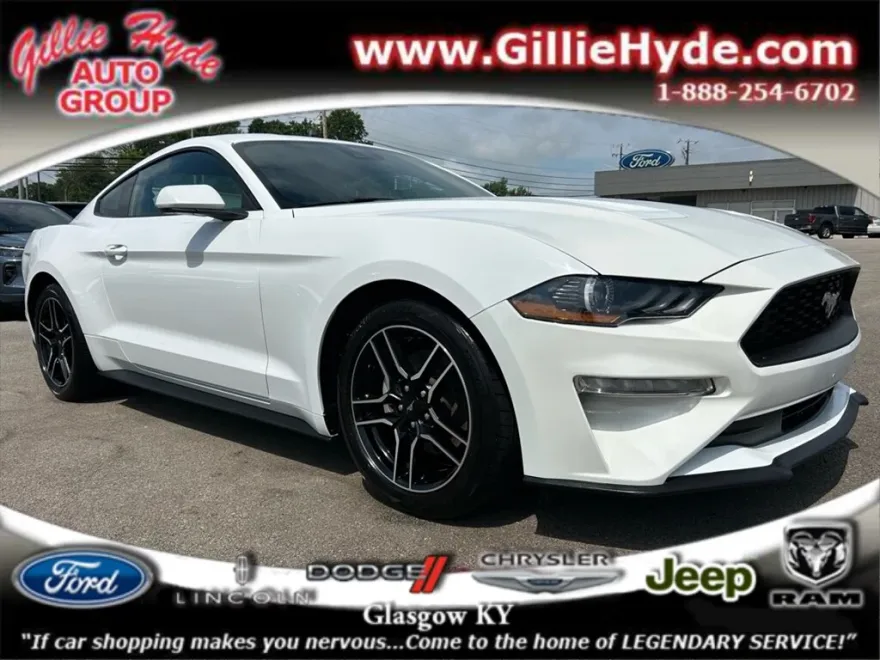 2023 Ford Mustang EcoBoost Premium photo 1